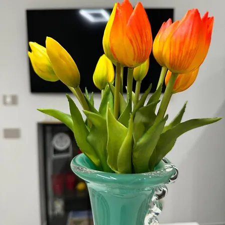 Varese Apartment 아파트 바레세
